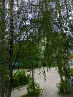 PXL20250620151309124+.jpg