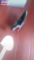 16363565657236.mp4