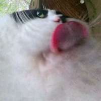 1750799741827.jpg