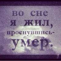 53b9ea9d23b751c5a1056aa.jpg
