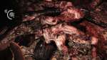 EvilWithin 2023-09-03 11-49-09-665.png