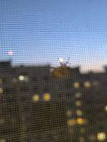IMG20250623221153.jpg