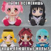 shinkuava