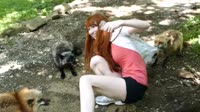Лисы атакуют.webm