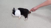 Nesquik.mp4