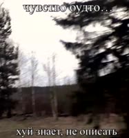 аывфапыдвола.mp4