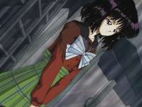 .webp