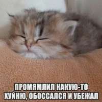 промямлил.webp