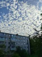 PXL20250707065135443+.jpg