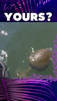 1752400252014.mp4