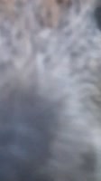 1752400253573.mp4