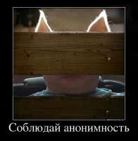 17198545519170.jpg