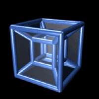 8-cell-simple.gif