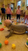 нейродичь-нейронные-сети-крипота-8881631.webm