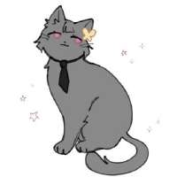 yosanocat.jpg