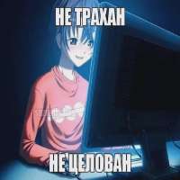 42305014.webp