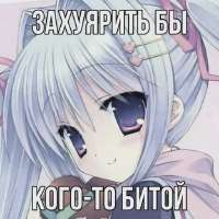 49243521.webp