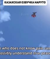 а.mp4