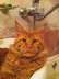 DDnomhoUAAAZgUj12.webp