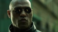 17548464169200.webm