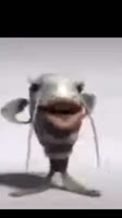 17548821037650.mp4