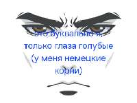 новая аватарка лекса.png