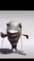 o.mp4