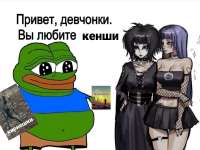 IMG2943.png