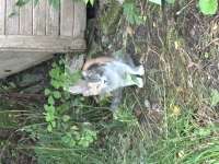 IMG2945.jpeg