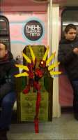 IMG3090.jpeg