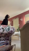 17436024968080.mp4