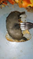 1657504210841.mov
