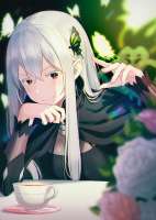 echidnarezerokarahajimeruisekaiseikatsudrawnbyhyuugaazuri05cfa62d75235b96d96ad35cd8d9f6cc.jpg