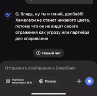 в.mp4