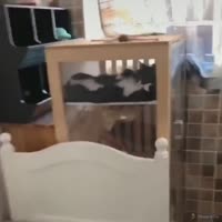 Отдыхаю, смотрю на уёбка с камерой.webm