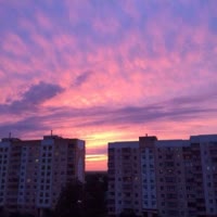1711285494788.webm