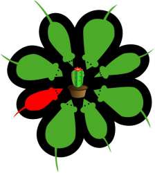 icq.jpg