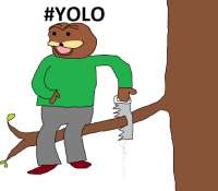 YOLO.png