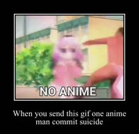 noanime.webm