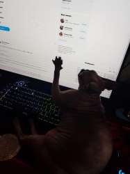 .jpg