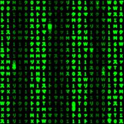 image(17).png