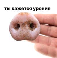 175403867026275510.jpg