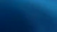 17028653272960.mp4