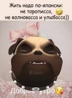 17470572788559464.mp4