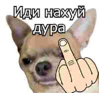 1733129432787.png