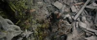 Output.webm