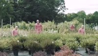 PINK GUY - STFU.mp4