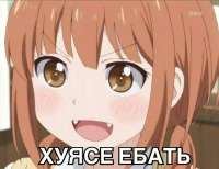1675748597424.jpg