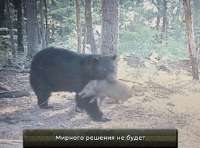 мирного-решения-не-будет-хой-4.gif