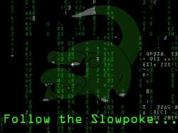 slowpoke.jpg